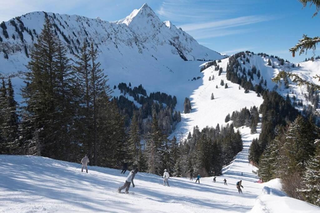Les Cimes, Chaleureux Studio 4 Pers, 50M Du Telecabine, Vue Degagee Sur Les Pistes, Draps Non Compris Saint-Jean-dʼAulps Dış mekan fotoğraf