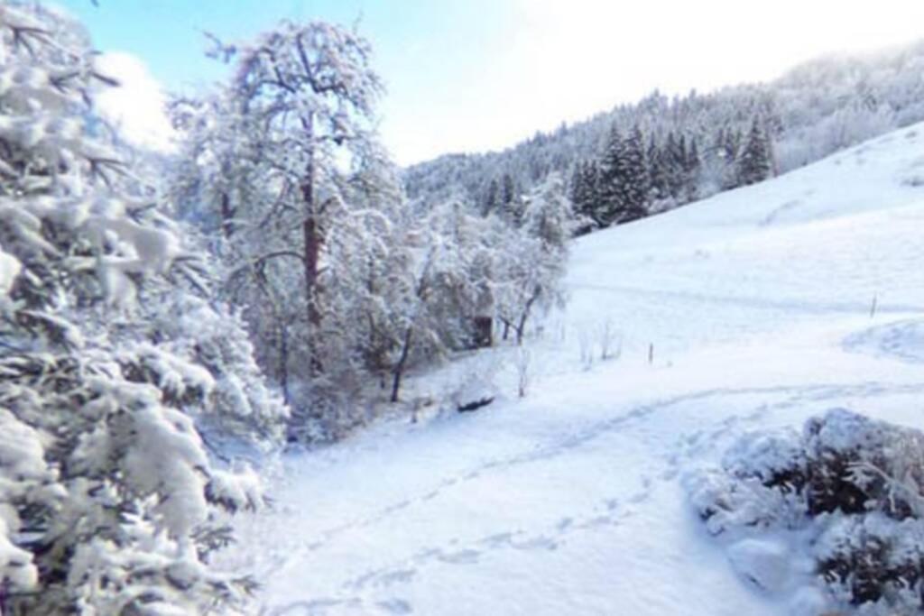 Les Cimes, Chaleureux Studio 4 Pers, 50M Du Telecabine, Vue Degagee Sur Les Pistes, Draps Non Compris Saint-Jean-dʼAulps Dış mekan fotoğraf
