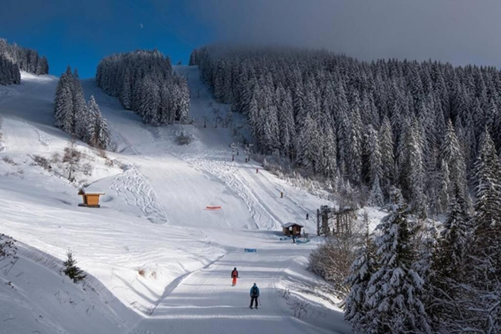 Les Cimes, Chaleureux Studio 4 Pers, 50M Du Telecabine, Vue Degagee Sur Les Pistes, Draps Non Compris Saint-Jean-dʼAulps Dış mekan fotoğraf