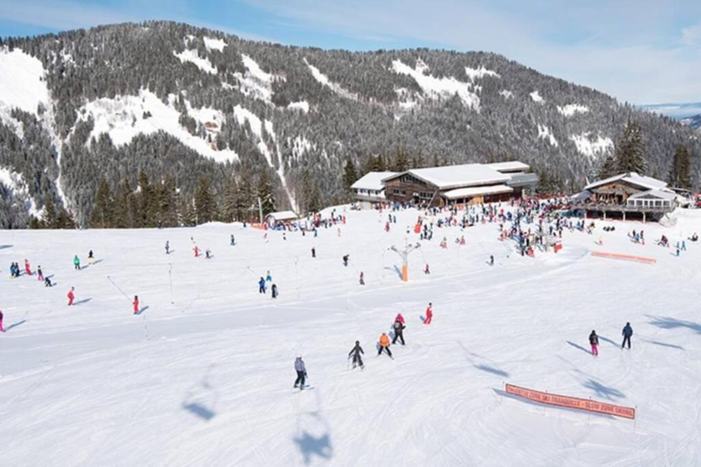 Les Cimes, Chaleureux Studio 4 Pers, 50M Du Telecabine, Vue Degagee Sur Les Pistes, Draps Non Compris Saint-Jean-dʼAulps Dış mekan fotoğraf